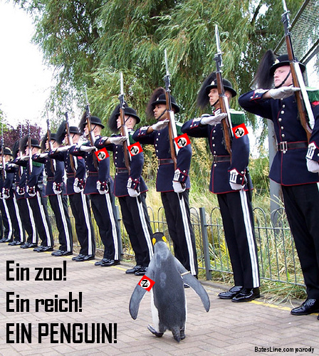 EinPenguin.jpg