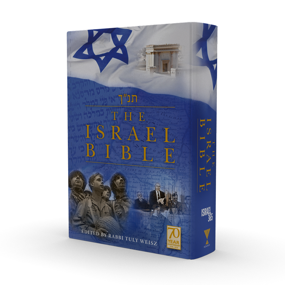 The-Israeli-Bible_Cover_WIP.png