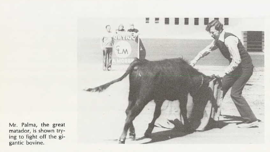 Holland Hall teacher Ron Palma fighting a bull, from the 1975 yearbook