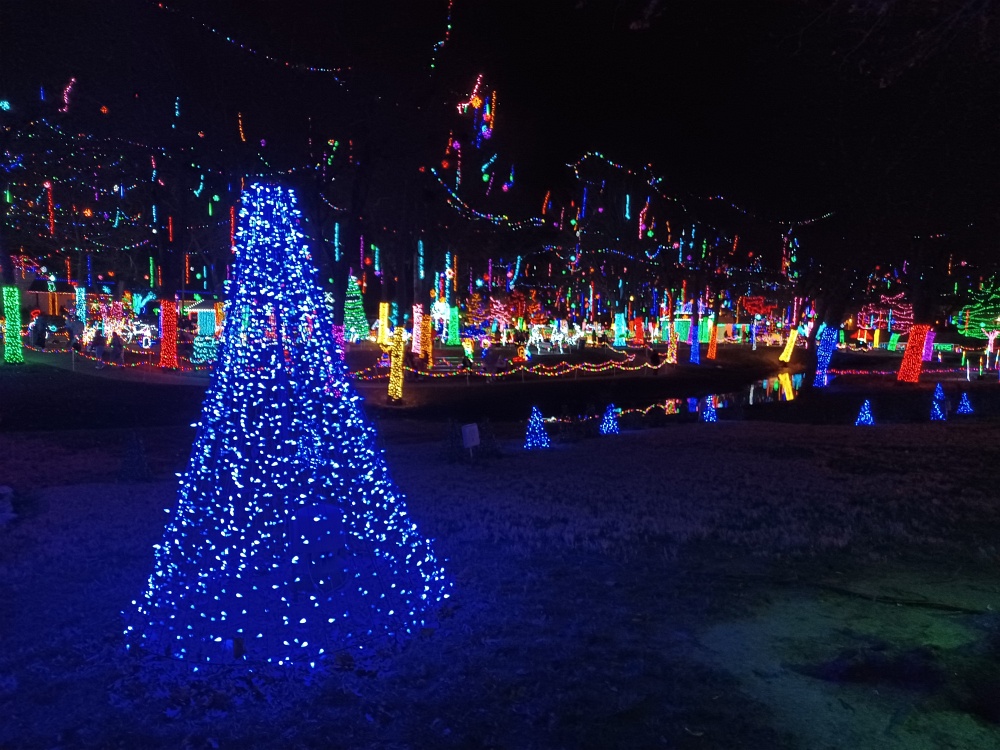 Rhema Bible Training College Christmas lights, with a Christmas tree and lights in the trees of Rhema Park
