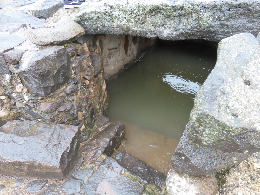 Rain-filled mikveh (ritual immersion pool) at Korazim (Chorazin), Israel, March 20, 2023